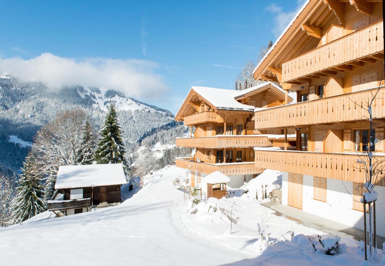 Panoramapark Soleil Chalet B Венген Экстерьер фото