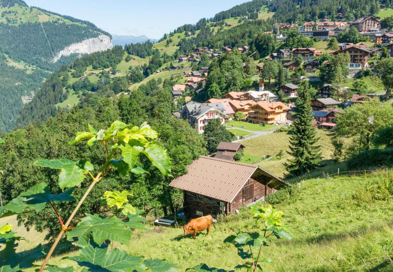 Panoramapark Soleil Chalet B Венген Экстерьер фото