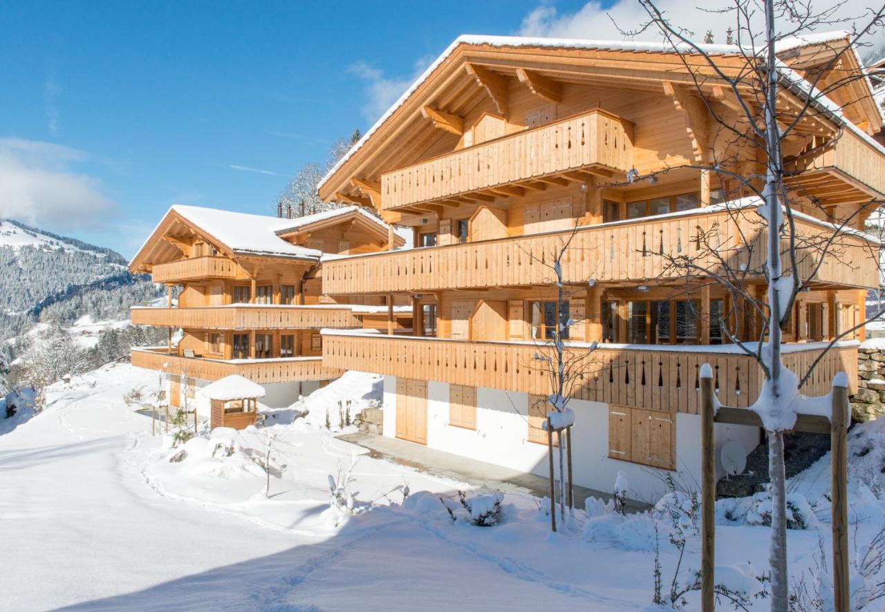 Panoramapark Soleil Chalet B Венген Экстерьер фото